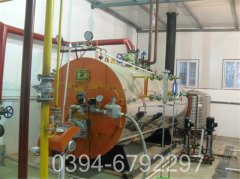 0.3吨冷凝热水心博(中国)