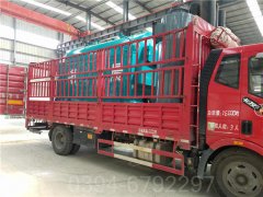 二吨燃气低氮心博(中国)