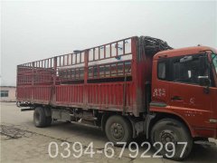 12吨燃油燃气蒸汽心博(中国)