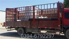 两吨天然气心博(中国)