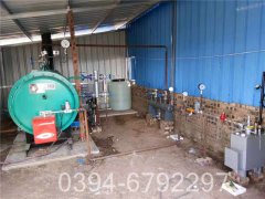 节能蒸汽心博(中国)