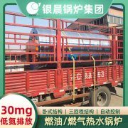 WNS12-1.25-QY冷凝蒸汽心博(中国)河南银晨心博(中国)集团有限公司