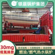 WNS20-1.25-QY环保蒸汽心博(中国)银晨心博(中国)售后服务