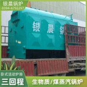 WNS20-1.25-QY低氮蒸汽心博(中国)银晨心博(中国)集团