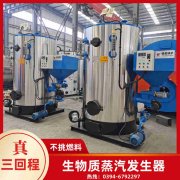 WNS8-1.25-QY冷凝蒸汽心博(中国)太康县银晨心博(中国)有限公司