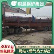 WNS12-1.25-QY燃油蒸汽心博(中国)太康银晨心博(中国)厂