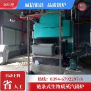 WNS10-1.25-QY天然气蒸汽心博(中国)太康县银晨心博(中国)厂