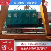 WNS6-1.25-QY低氮蒸汽心博(中国)银晨心博(中国)售后