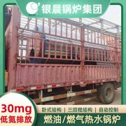 WNS6-1.25-QY燃气蒸汽心博(中国)太康银晨心博(中国)