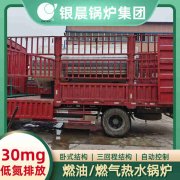 WNS4-1.25-QY冷凝蒸汽心博(中国)河南银晨心博(中国)集团