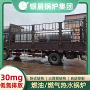 WNS0.7-1.0-QY环保蒸汽心博(中国)太康银晨心博(中国)