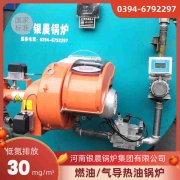 WNS0.3-0.7-QY冷凝蒸汽心博(中国)银晨心博(中国)