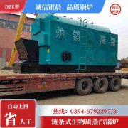 WNS0.3-0.7-QY冷凝蒸汽心博(中国)河南银晨心博(中国)集团有限公司