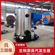 12吨卧式蒸汽心博(中国)太康县银晨心博(中国)有限公司