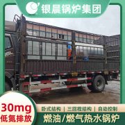 10吨天然气蒸汽心博(中国)河南银晨心博(中国)集团有限公司