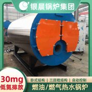 15吨低氮蒸汽心博(中国)太康县银晨心博(中国)有限公司