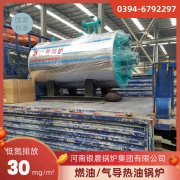 12吨节能蒸汽心博(中国)银晨心博(中国)