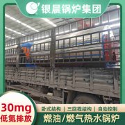 12吨卧式蒸汽心博(中国)太康银晨心博(中国)厂