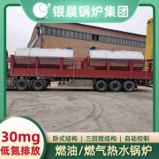 20吨柴油蒸汽心博(中国)银晨心博(中国)