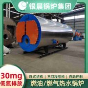 10吨低氮冷凝蒸汽心博(中国)河南银晨心博(中国)集团有限公司