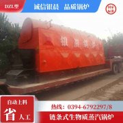 10吨低氮蒸汽心博(中国)太康县银晨心博(中国)有限公司