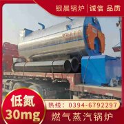 12吨蒸汽心博(中国)银晨心博(中国)集团有限公司