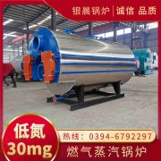 12吨液化气蒸汽心博(中国)银晨心博(中国)售后