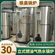 10吨蒸汽心博(中国)太康银晨心博(中国)