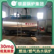 20吨天然气蒸汽心博(中国)河南银晨心博(中国)集团有限公司