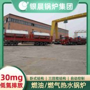 4吨燃油蒸汽心博(中国)太康县银晨心博(中国)有限公司