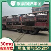 8吨卧式蒸汽心博(中国)银晨心博(中国)厂