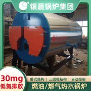 4吨低氮冷凝蒸汽心博(中国)银晨心博(中国)售后