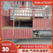 6吨低氮蒸汽心博(中国)银晨心博(中国)售后