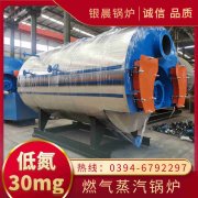 4吨低氮冷凝蒸汽心博(中国)银晨心博(中国)