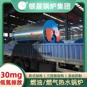 4吨环保蒸汽心博(中国)太康银晨心博(中国)厂