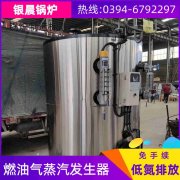 2吨环保蒸汽心博(中国)银晨心博(中国)售后