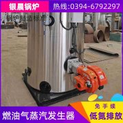 0.7吨三回程蒸汽心博(中国)银晨心博(中国)公司