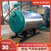 0.7吨节能蒸汽心博(中国)银晨心博(中国)集团有限公司