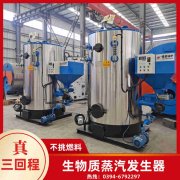 2吨低氮冷凝蒸汽心博(中国)银晨心博(中国)售后服务