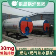 0.7吨低氮蒸汽心博(中国)银晨心博(中国)集团有限公司