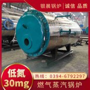 0.7吨蒸汽心博(中国)银晨心博(中国)