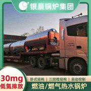 0.7吨柴油蒸汽心博(中国)银晨心博(中国)