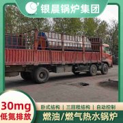 0.5吨燃气蒸汽心博(中国)太康县银晨心博(中国)有限公司