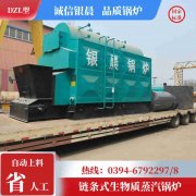 0.2吨低氮蒸汽心博(中国)太康县银晨心博(中国)有限公司