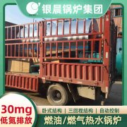 0.3吨液化气蒸汽心博(中国)太康县银晨心博(中国)厂