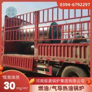 0.3吨低氮蒸汽心博(中国)银晨心博(中国)