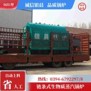 3吨天然气心博(中国)