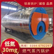 商用直流式燃气心博(中国)