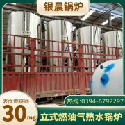 小型燃气蒸汽心博(中国)报价