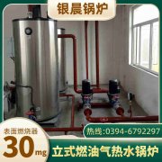 4吨燃气心博(中国)价格